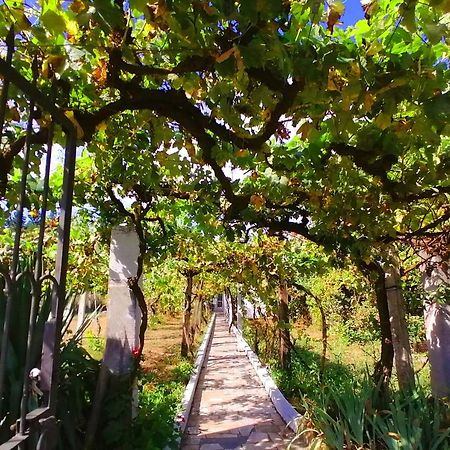 Morin Grey Casa En El Corazon De La Ribeira Sacra Villa Monforte De Lemos Ngoại thất bức ảnh