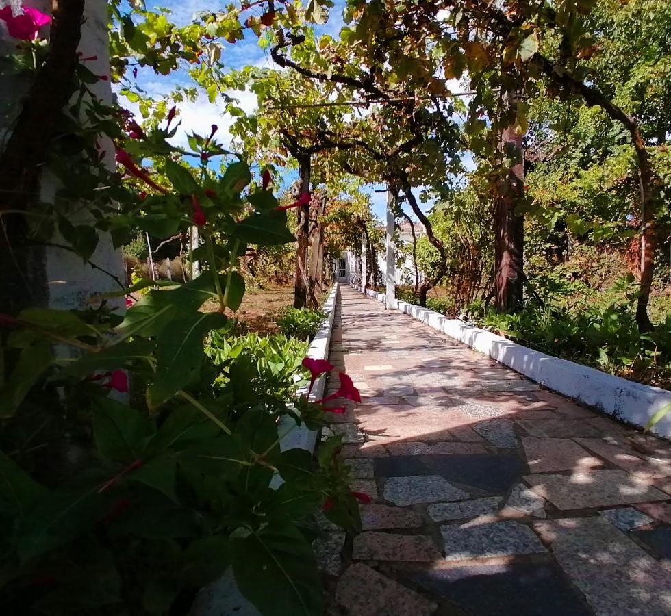 Morin Grey Casa En El Corazon De La Ribeira Sacra Villa Monforte De Lemos Ngoại thất bức ảnh