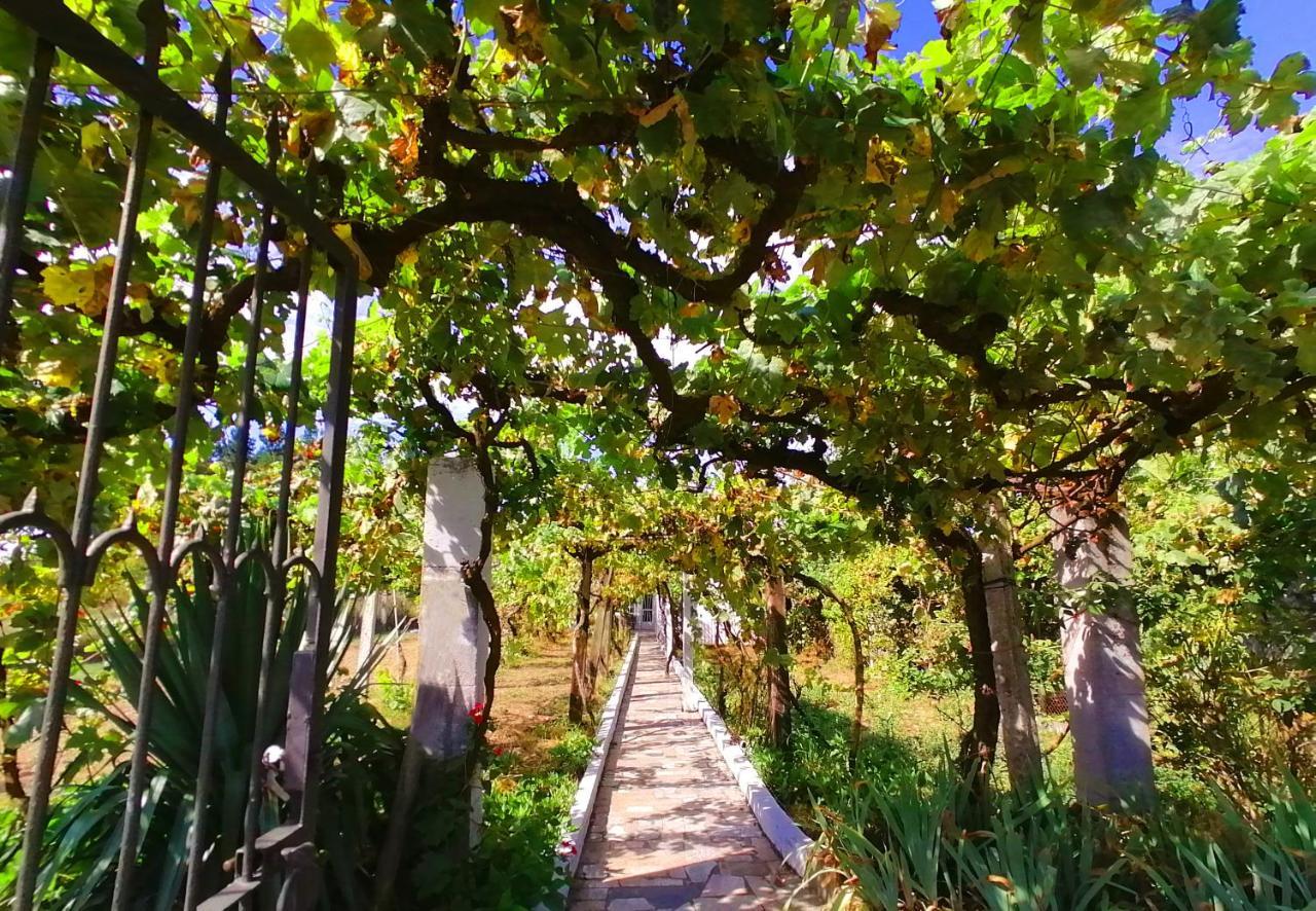 Morin Grey Casa En El Corazon De La Ribeira Sacra Villa Monforte De Lemos Ngoại thất bức ảnh