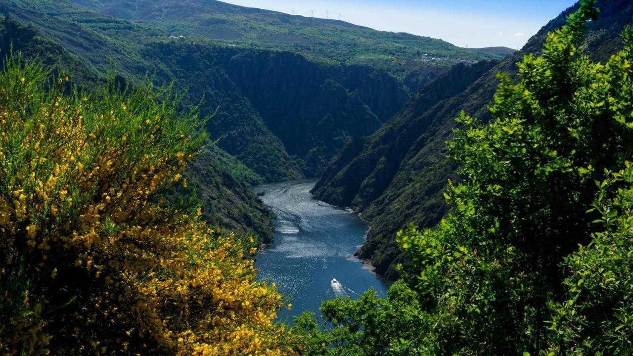 Morin Grey Casa En El Corazon De La Ribeira Sacra Villa Monforte De Lemos Ngoại thất bức ảnh