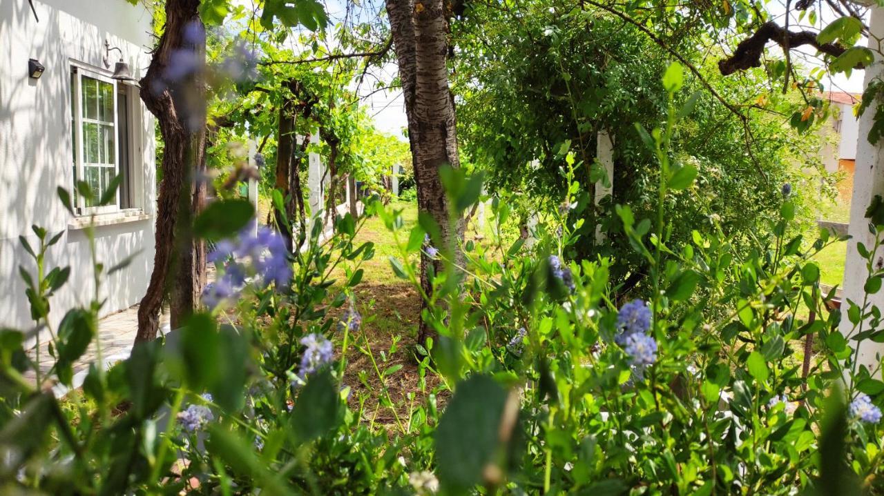 Morin Grey Casa En El Corazon De La Ribeira Sacra Villa Monforte De Lemos Ngoại thất bức ảnh