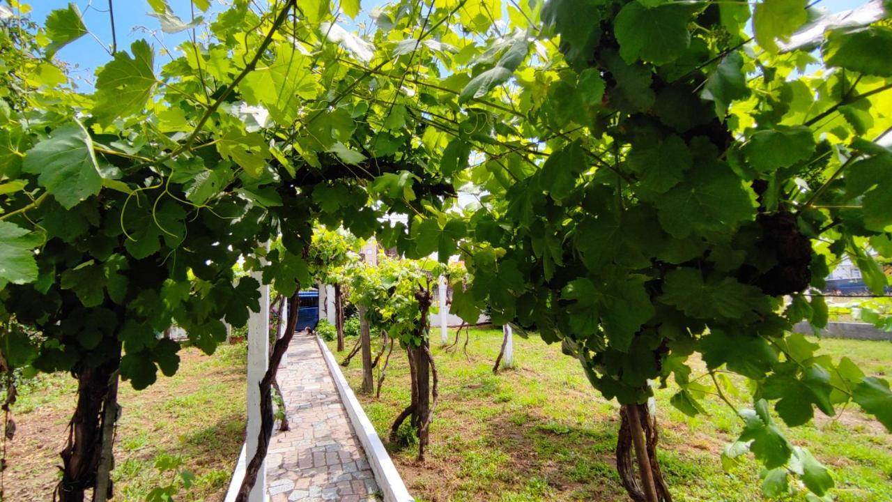 Morin Grey Casa En El Corazon De La Ribeira Sacra Villa Monforte De Lemos Ngoại thất bức ảnh