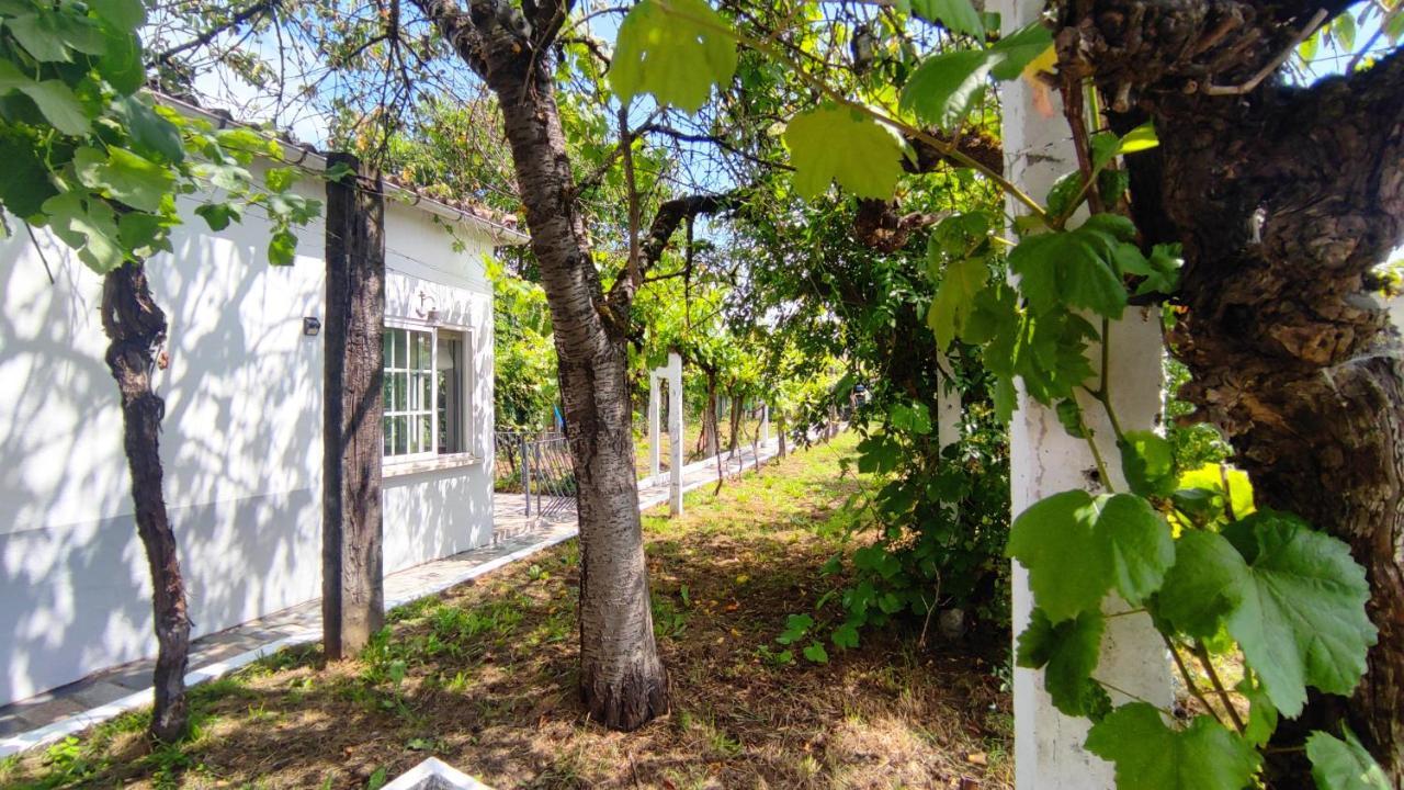 Morin Grey Casa En El Corazon De La Ribeira Sacra Villa Monforte De Lemos Ngoại thất bức ảnh